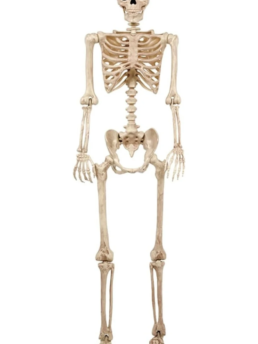 5FT Life-Size Pose-N-Stay Posable Halloween Skeleton Decor NWT